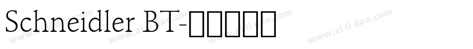 Schneidler BT字体转换
